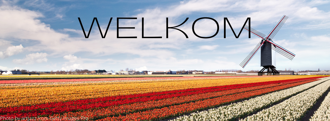 Welkom, Dutch, picture of windmill and field of tulips