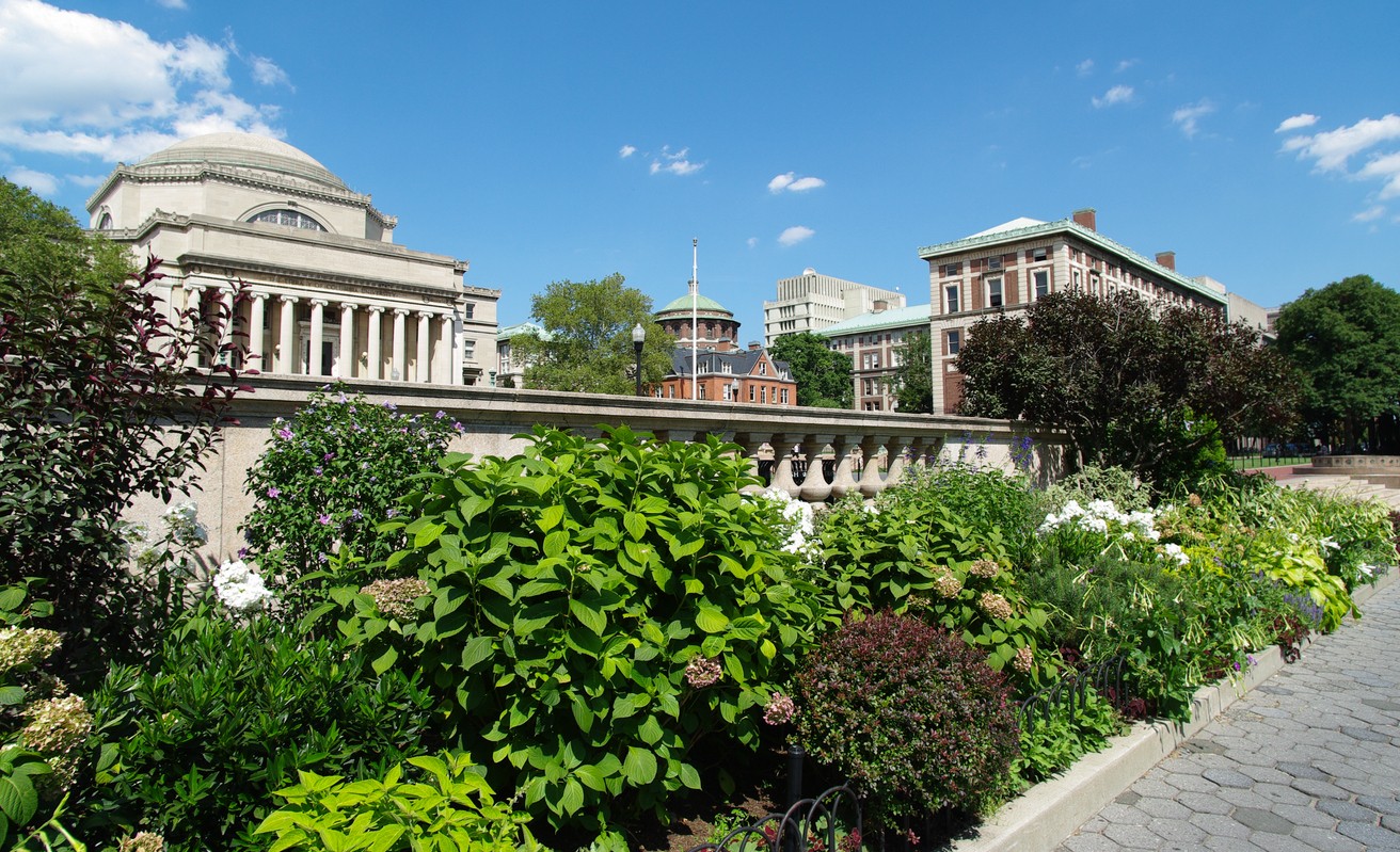 Campus walkway with foliage, Columbia University, includes dome of Low Library