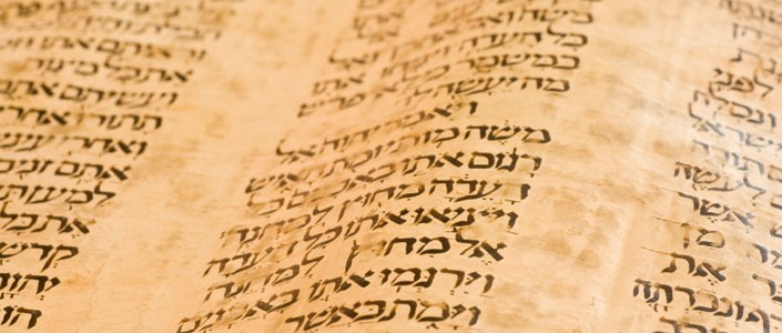 A section of the Torah