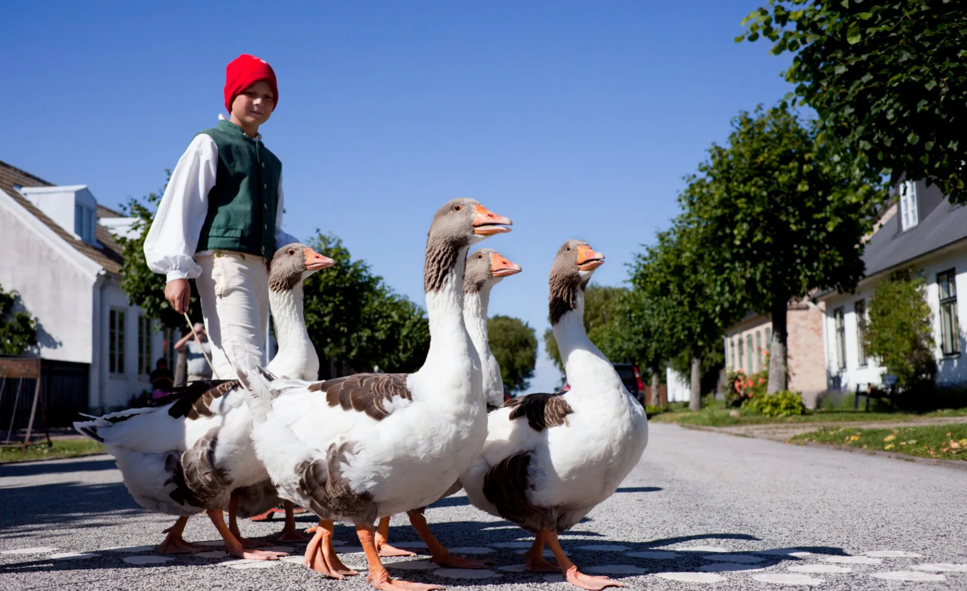 Conny Fridh - Goose Hearding