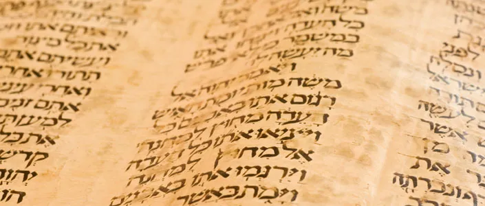 A section of the Torah circa 900_0